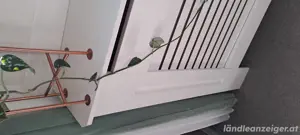 Heizkörper Verkleidungen Bild 3