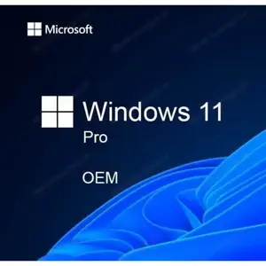 Windows 11 Pro OEM ( 1 PC ) alle Sprachen Express Email NEU und sofort zu nutzen
