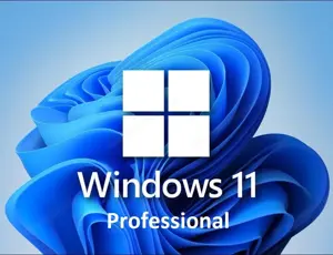 Windows 11 Professional Retail ( 2 PC ) Key - Sofort Email Versand- Kein Abo - Download Link Bild 2