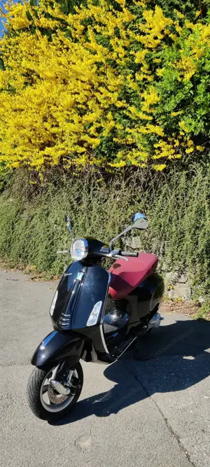 Vespa Primavera 50-2T Bild 8