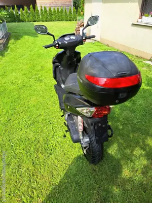 moped 50cm Bild 10