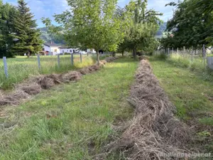 Heu zum Verschenken