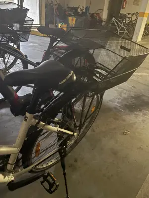 Damen Fahrrad intersport