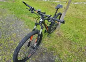 MTB Bergamont Roxtar  Bild 2