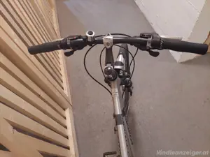 Fahrrad (Herren) Bild 3