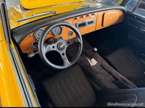 Gt 5000 mit einem V8 Bild 5