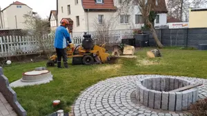 Wurzelfräße Vermeer sc 252 Stubbenfräße 35 PS Bild 2