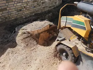 Wurzelfräße Vermeer sc 252 Stubbenfräße 35 PS Bild 6