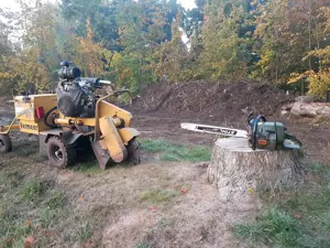 Wurzelfräße Vermeer sc 252 Stubbenfräße 35 PS Bild 4