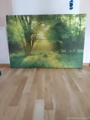 Leinwandbild Natur  Bild 2