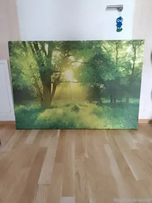 Leinwandbild Natur 