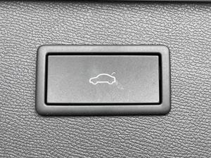 Cupra Formentor Kamera+AHK+GVL+Navi 2.0 TSI DSG 4Drive 140kW / ... Bild 6