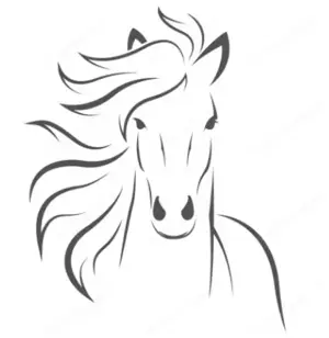 Suche Reitbeteiligung