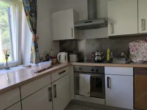 1-Zimmer wohnung 38,5 m2 . zum vermieten Bild 4