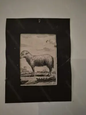 Wohnungsauflösung   Jäger & Sammler Bild 5
