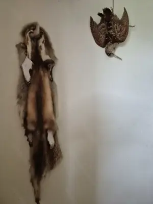 Wohnungsauflösung   Jäger & Sammler Bild 2