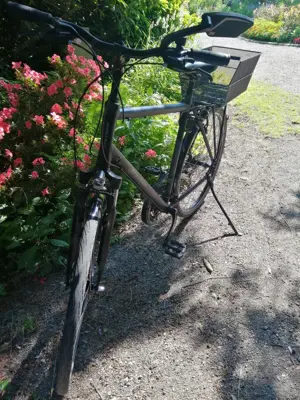 Herrenfahrrad Stevens 