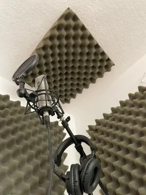 Studio Mikrofon inkl. Interface & Kopfhörer