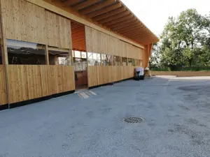 Einstellplatz für Pferd in Dornbirn zu vergeben! Bild 3