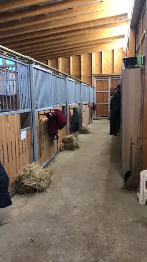 Einstellplatz für Pferd in Dornbirn zu vergeben! Bild 4