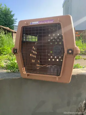 tolle Hundetransportbox