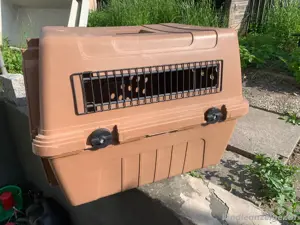 tolle Hundetransportbox Bild 2