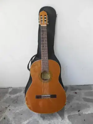 Raimundo Guitarras artesanas 118