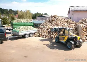 Brennholz ( b che,Eiche,Esche,birke)