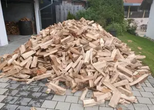 Brennholz ( b che,Eiche,Esche,birke) Bild 3