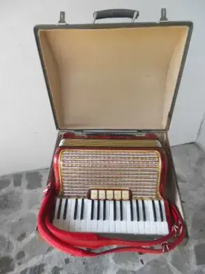 Akkordeon Hohner Concerto III
