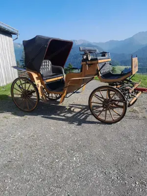 Sehr schöne Kutsche für Großpferde Noriker Warmblut etc