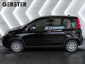 Fiat Panda Bild 3