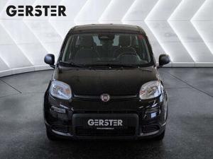Fiat Panda Bild 2