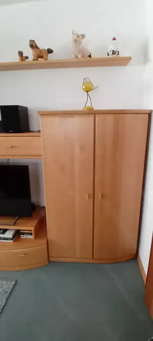 Schöne Wohnwand Tischlerarbeit Bild 4