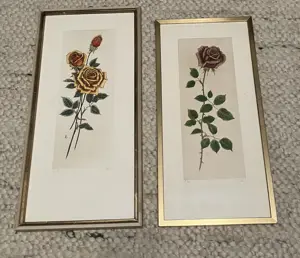 2 Originalradierungen handkoloriert Rosenmotiv Vintage