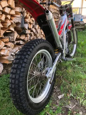 Gas Gas  280 TXT, Trial Bild 4