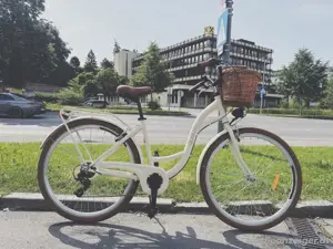 Damen Fahrrad