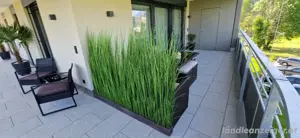 Kunstpflanze Gras   Raumteiler   Sichtschutz Bild 4