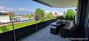 Kunstpflanze Gras   Raumteiler   Sichtschutz Bild 3