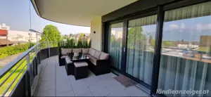 Kunstpflanze Gras   Raumteiler   Sichtschutz Bild 2