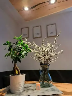 Suche Putzfee im Bregenzerwald 