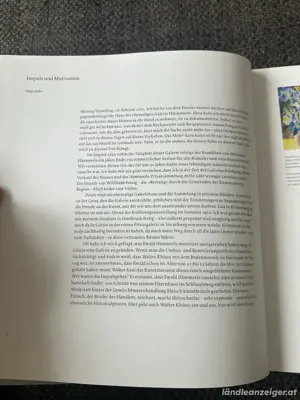 Auf schwankendem Boden, Geschichte der Galerie Hämmerle Bild 4