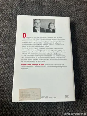 Les vies cachées de DSK, Vincent Giret
