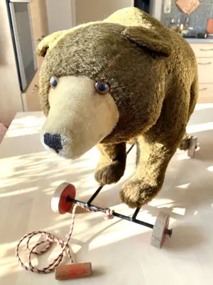 Liebe Sammler Steif Teddy mit Knopf im Ohr  