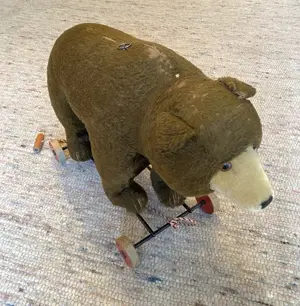 Liebe Sammler Steif Teddy mit Knopf im Ohr   Bild 4