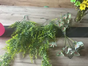 Terrarium  Bild 4