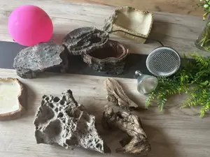 Terrarium  Bild 3