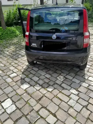 Fiat Panda Bild 2