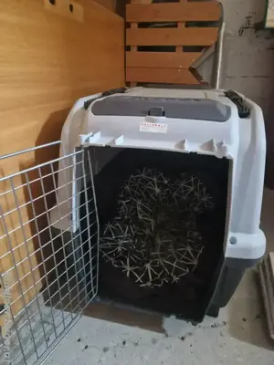 Skudo Hundebox