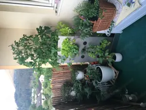 Hochbeet Kubi Nachbau